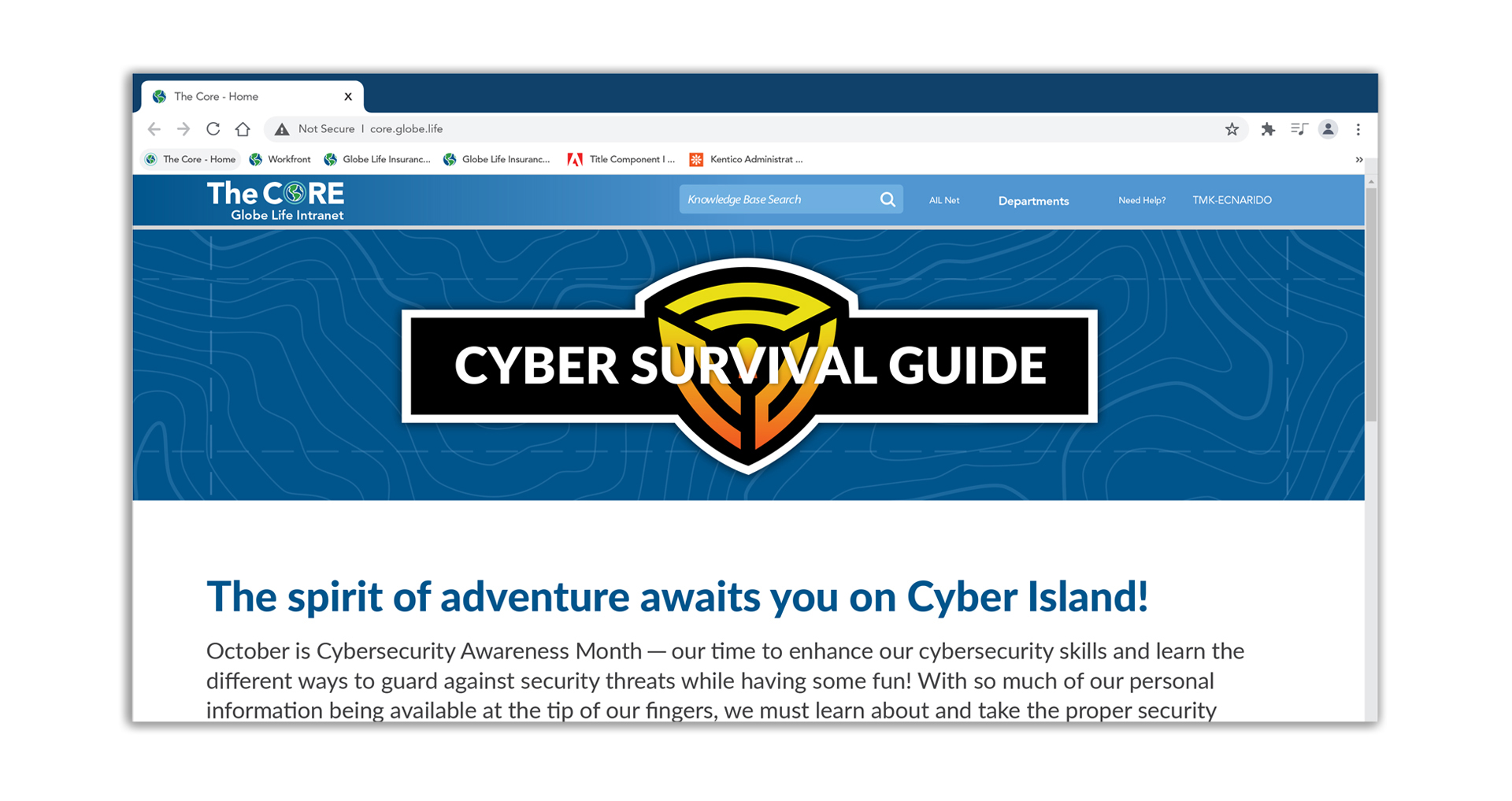 Cyber Survival Guide wireframe